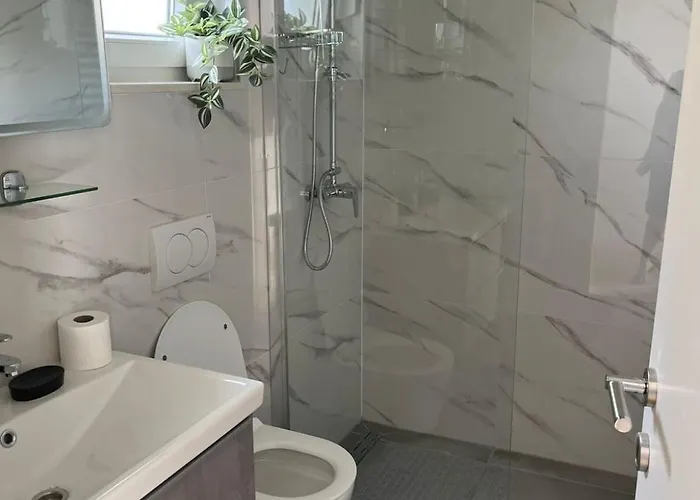 公寓 Damir 布拉采